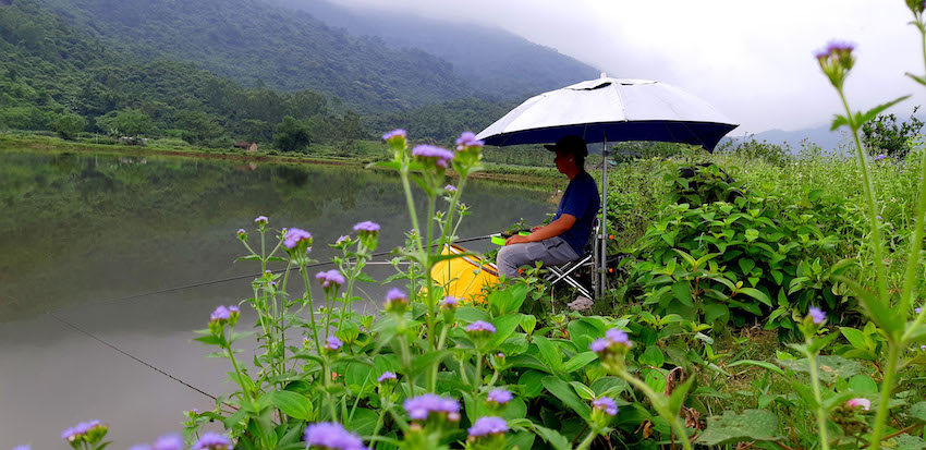 Khám[-]phá[-]vẻ[-]đẹp[-]của[-]những[-]hồ[-]đập[-]ở[-]Nghi[-]Xuân